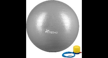 Fitnessbal met pomp - diameter 65 cm - Grijs