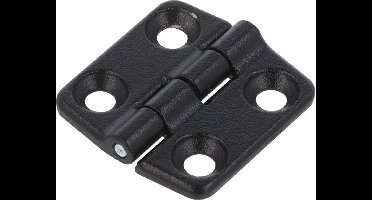 Scharnier - Zwart - 30x29mm - Verzinkt