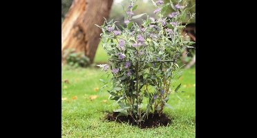 Wovar Plantensteun Halfrond 60 x 30 x 18 cm Metaal | Per Stuk