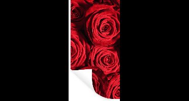 Muurstickers - Sticker Folie - Rozen - Roos - Rood - 20x40 cm - Plakfolie - Muurstickers Kinderkamer - Zelfklevend Behang - Zelfklevend behangpapier - Stickerfolie