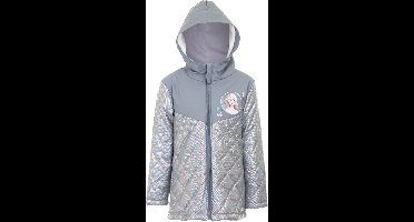 Disney Frozen - Winterjas - Elsa - Zilver/Grijs - Iriserende stof - Gevoerd met coral fleece - Waterafstotend / Winddicht - Maat 122/128 - 126 cm - 8 jaar