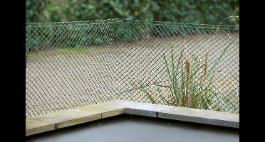 Schermgaas vierkant 20x20mm 1x25 meter groen