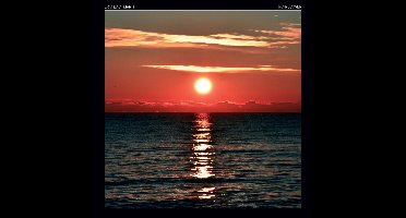 Eric Bachmann - No Recover (LP)