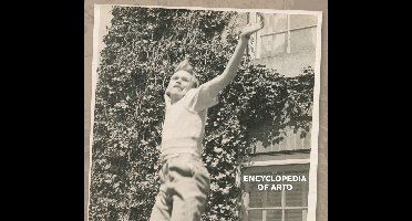 Arto Lindsay - Encyclopedia Of Arto (2 CD)
