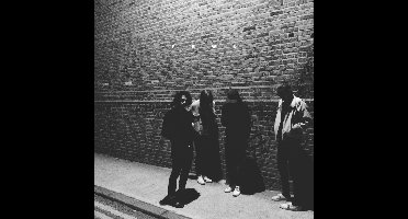 Fews - Means (2 LP) (Coloured Vinyl)