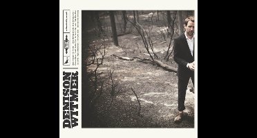 Denison Witmer - Denison Witmer (LP)