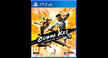 Cobra Kai: The Karate Kid Saga Continues - PS4