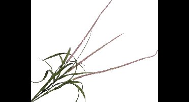 Silk-ka Kunstbloem-Zijden Bloem-Kunsttak Gras Tak Lavendel-Roze 135 cm