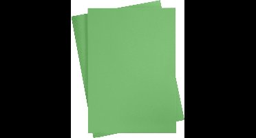 Gekleurd Karton, A2 420x594mm gras groen, 10 vel | Knutselkarton