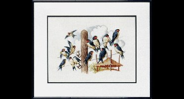 Pako Borduurpakket - telpatroon - Zwaluwen - 238.221 - voorgesorteerd garen - Aida - 26 x 18 cm - DIY kit