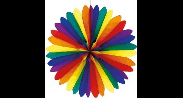 Amscan Decoratiewaaier Regenboog 50 Cm Papier