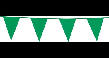 Vlaggenlijn Groen 10 meter - Verjaardag Feest Party Festival Poolparty Decoratie