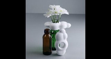 Qualy - Cloud Decorative Vase - Screw Cap Bottle Vase Schroefdop Flessen decoratieve vaas voor Bloemen en/of Riet diffuser Kleur: Wit Materiaal: Gerecycled PP W78xL133xH37mm 130gr