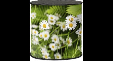 Counter Professional Original M Tafelblad Zwart - Syna CPOMTTB