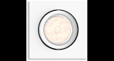 Philips Donegal - Inbouwspot - 1 Lichtpunt - wit