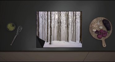 Inductieplaat Beschermer - Smalle Bomen in Besneeuwd Bos - 60x52 cm - 2 mm Dik - Inductie Beschermer met zwarte kern