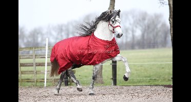 MASTER Winterdeken metallic red 150g - 95 / 145