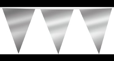 Giga Vlaggenlijn Zilver Metallic 30x45cm 10m - Vlaggen XL Groot thema feest festival