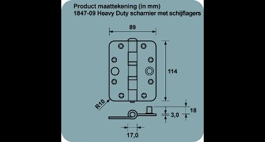Axa Heavy Duty Veiligheidsschijflager scharnier geborsteld RVS 114 x 89 x 3mm SKG*** 1847-09-81/VE