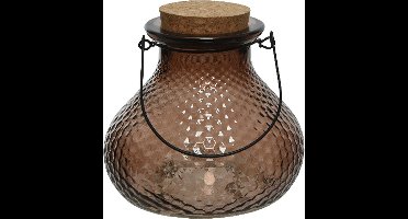 Decoris Wespenvanger/wespenval met hengsel - glas - donkerbruin - D14 x H13 cm