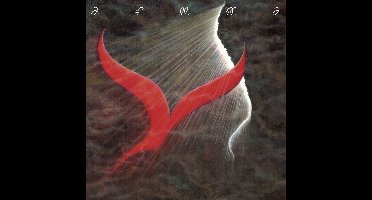 Afuma - Songs From The Shore (CD)