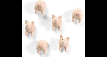 Trendform magneten varken