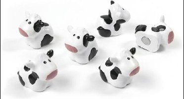 Magneten koe trendform