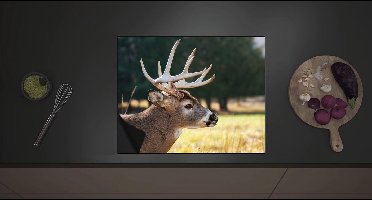Inductie Beschermer - Zijaanzicht van Hert met Klein Gewei in Natuur Landschap - 60x52 cm - 2 mm Dik - Inductieplaat Beschermer met zwarte kern