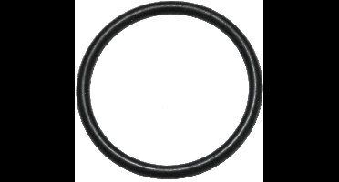 Kärcher o-ring voor hogedrukreiniger - 17,0 x 1,5 mm - afdichtingsrubber - nr. 6.362-524.0 - 63625240