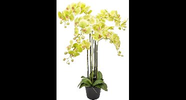 Orchidee Kunstplant 6-tak 88 cm - Groen