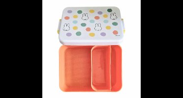 Nijntje lunchbox met extra bakje