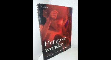 Het grote wonder