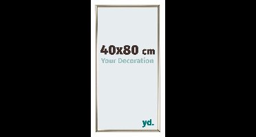 Your Decoration - Fotolijst 40x80 cm - Kunststof - Champagne - Annecy