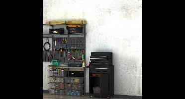 Werkplaatstrolley – Gereedschapswagen – Toolcabinet – Opbergtrolley – Werkbank – Metalen Frame – 360° Draaibare Wielen – 60x28x104,5 cm – Vergrendelbare Laden