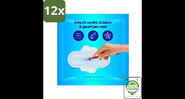 Always - Maandverband - Long - 48 Maandverband - Voordeelverpakking - 12 stuks - Maandverband - Maandverband met vleugels