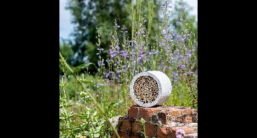 CJ Wildlife Insectenhotel - Isabela - Rond Bijenhotel - Insectenhuis voor o.a. Bijen, Hommels & Lieveheersbeestjes - Bijenkast met Vervangbaar Bamboe Huisje - Grijs