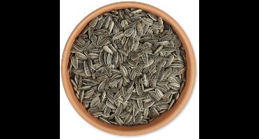 CJ Wildlife 10kg Gestreepte Zonnebloempitten voor Vogels - Zonnepitten voor Vogels - Vogelvoer voor Buitenvogels - Tuinvogelvoer voor Voedertafel of Voedersilo - Uit Duitsland