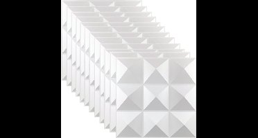 3D wandpanelen PVC 12 stuks 3D waterkastanje wit voor woonkamer en slaapkamer plafondpanelen en gevelbekleding