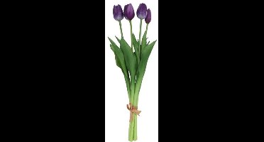 Countryfield Tulipa Boeket - Tulpen - Donkerpaars - 40 cm