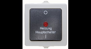 Kopp 565356002 Nautic Verwarmingsnoodschakelaar spatwaterdicht Grijs 1 stuk(s)