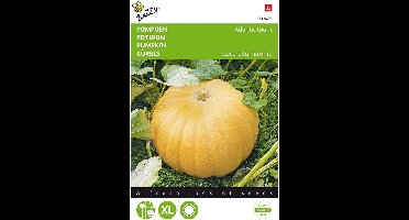 Buzzy - groentezaad - Pompoen Atlantic Giant