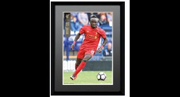 Liverpool Picture Mane 8 x 6