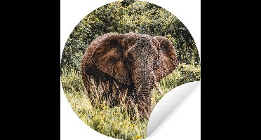 WallCircle - Muurstickers - Behangcirkel - Olifant - Gras - Natuur - ⌀ 30 cm - Muurcirkel - Zelfklevend - Ronde Behangsticker