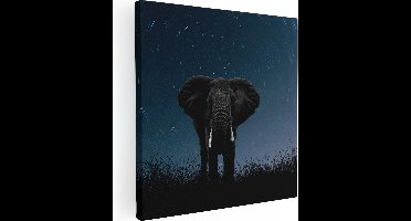 Artaza Canvas Schilderij Olifant Omringd Met Sterren  - 60x60 - Foto Op Canvas - Canvas Print