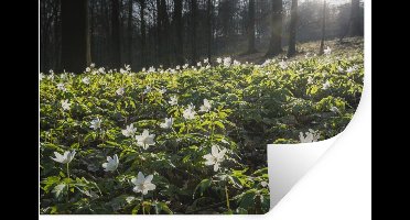 Muurstickers - Sticker Folie - Bloemen - Lente - Bos - 30x20 cm - Plakfolie - Muurstickers Kinderkamer - Zelfklevend Behang - Zelfklevend behangpapier - Stickerfolie