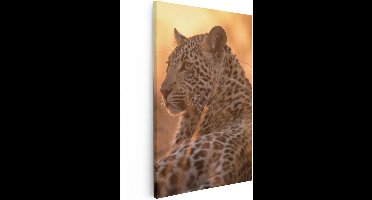 Artaza Canvas Schilderij Luipaard Rust In De Zon - 60x90 - Foto Op Canvas - Canvas Print