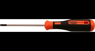 Skandia Schroevendraaier 2C - TX 25 x 100 mm