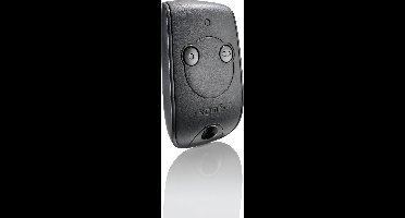 Afstandsbediening 2 Kanalen