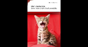 Bien s'entendre avec son chat c'est possible