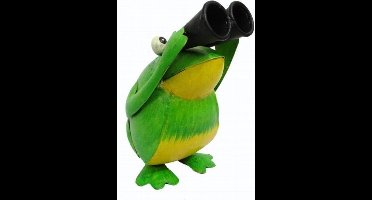 Metalen kikker met verrekijker